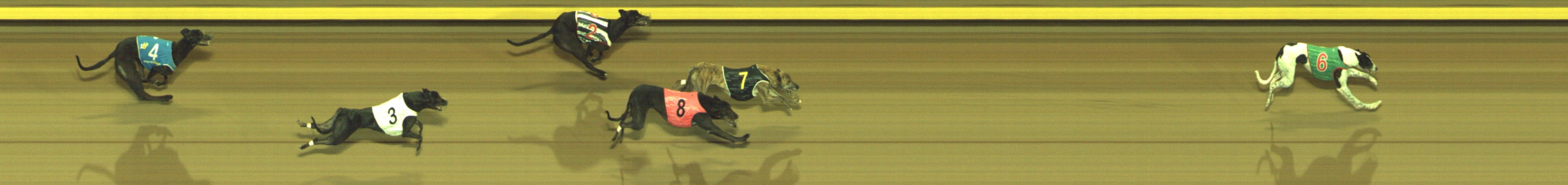 Photo finish for Geelong Race 8
