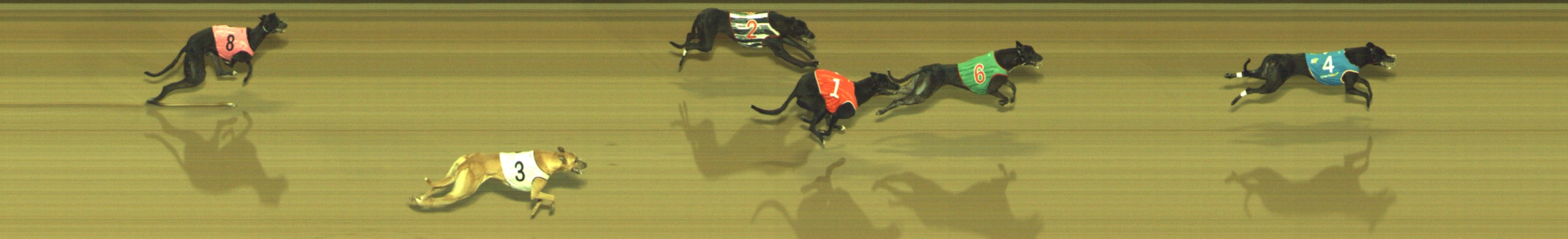 Photo finish for Geelong Race 9