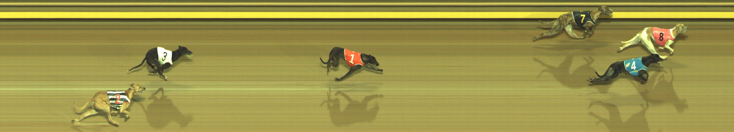 Photo finish for Geelong Race 10