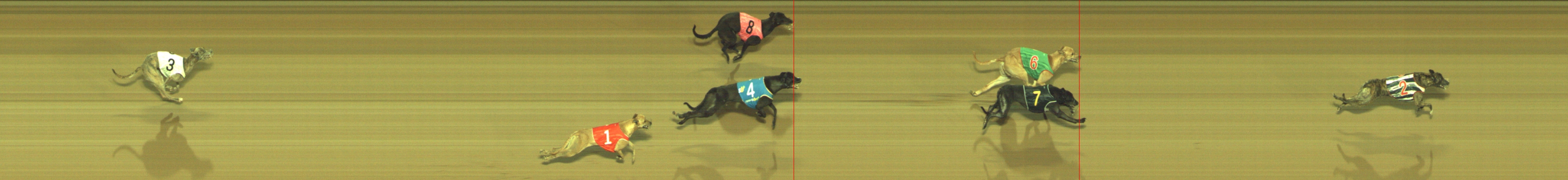 Photo finish for Geelong Race 11