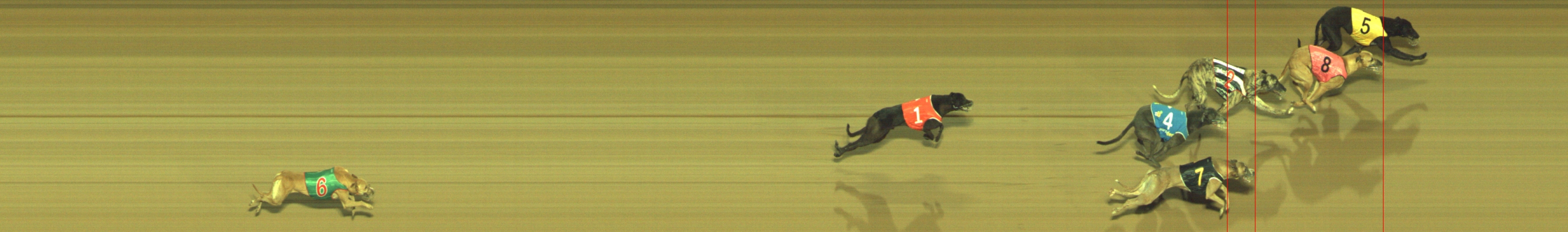 Photo finish for Geelong Race 12