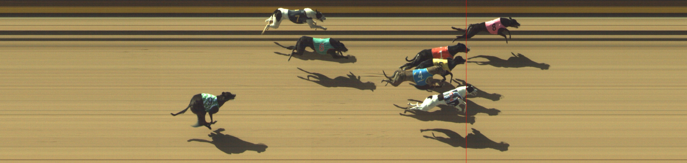 Photo finish for Geelong Race 2