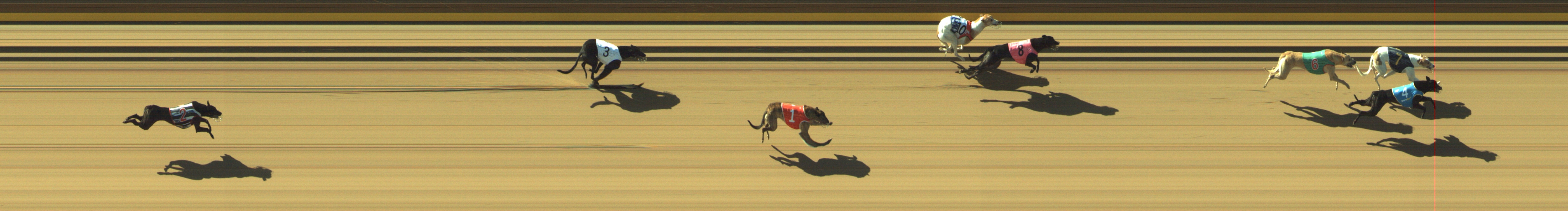 Photo finish for Geelong Race 3