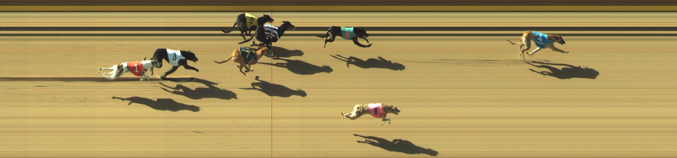 Photo finish for Geelong Race 4
