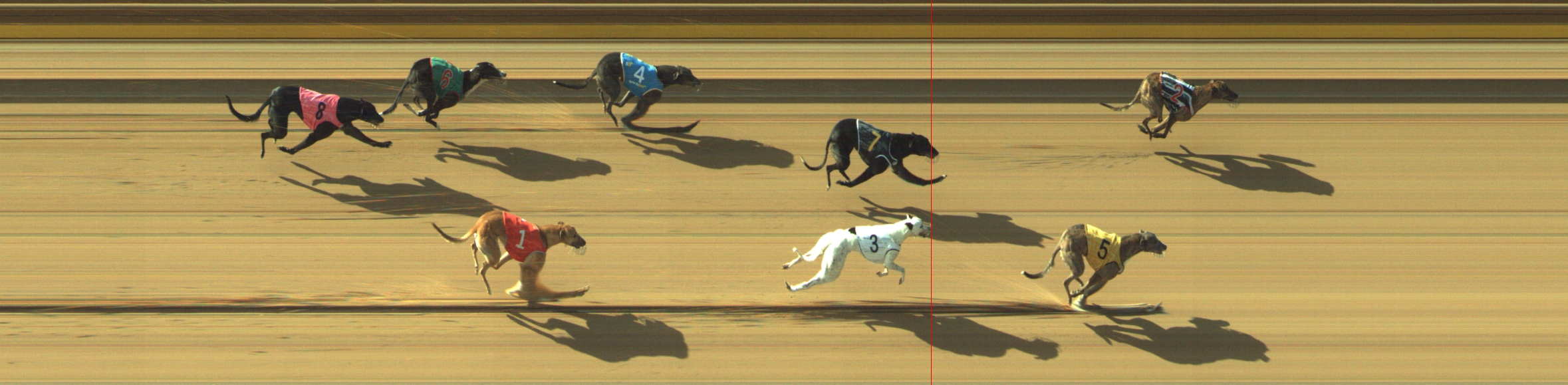 Photo finish for Geelong Race 5