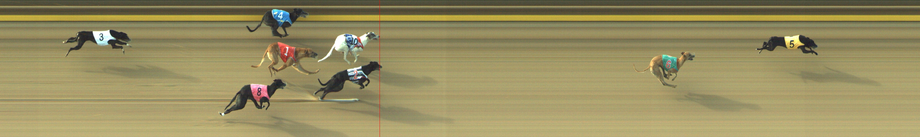 Photo finish for Geelong Race 6