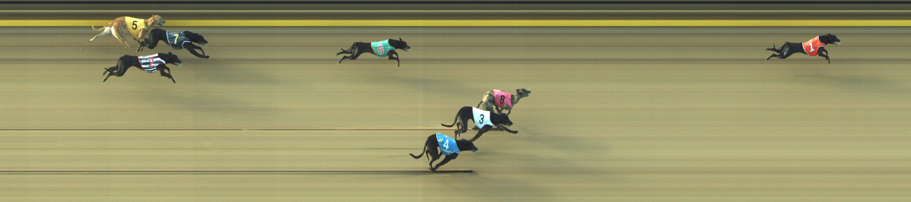 Photo finish for Geelong Race 7