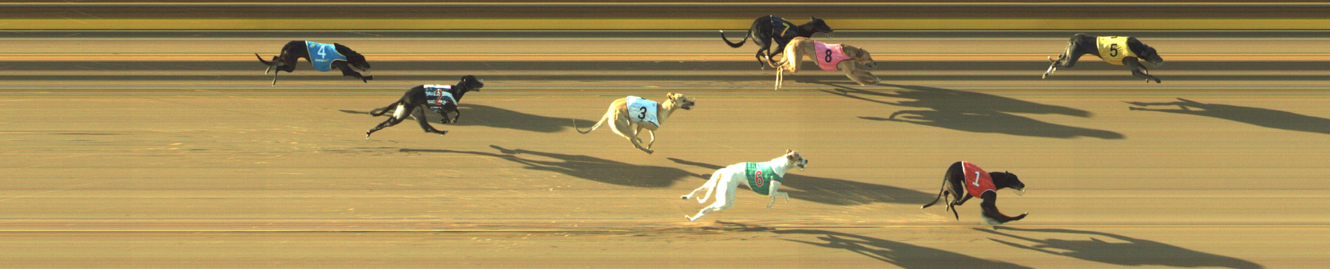 Photo finish for Geelong Race 8