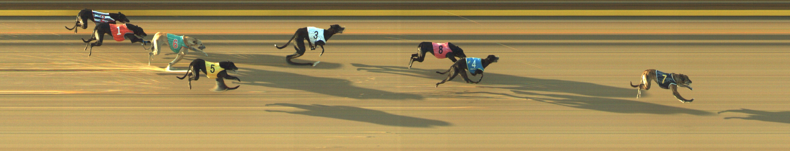Photo finish for Geelong Race 9
