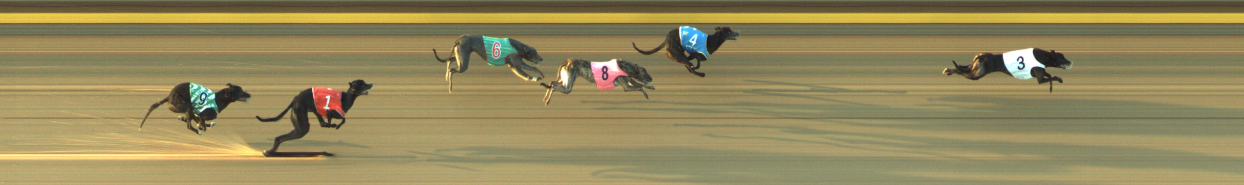 Photo finish for Geelong Race 10