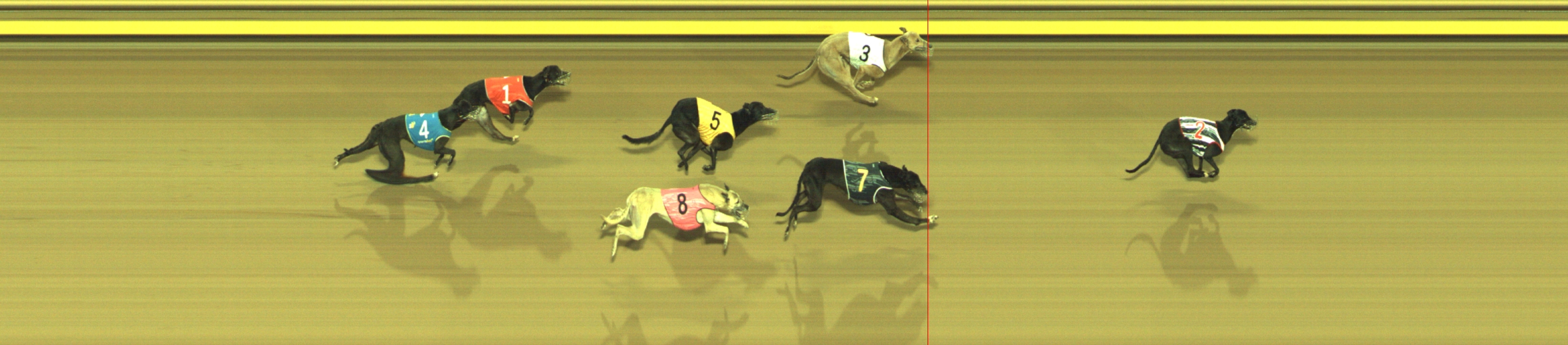 Photo finish for Geelong Race 11