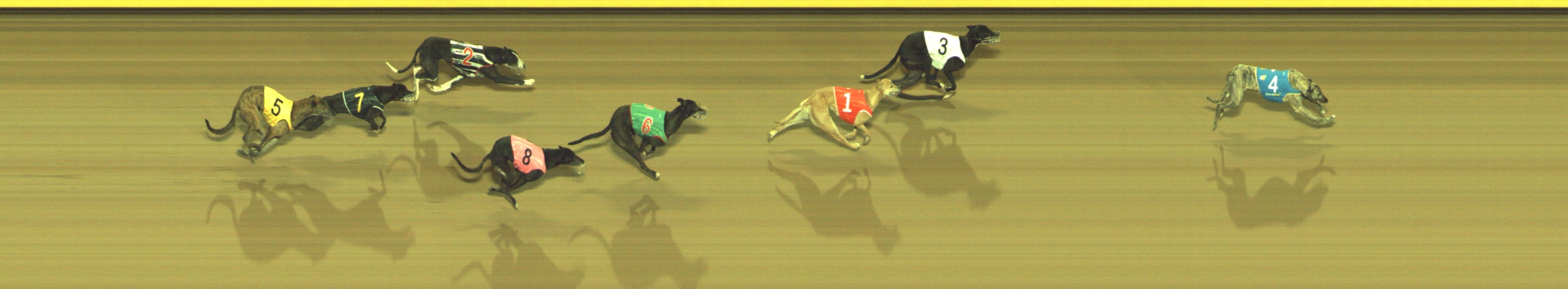 Photo finish for Geelong Race 12