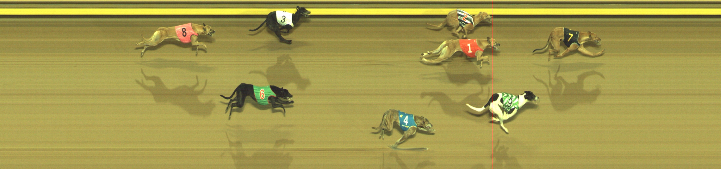 Photo finish for Geelong Race 13