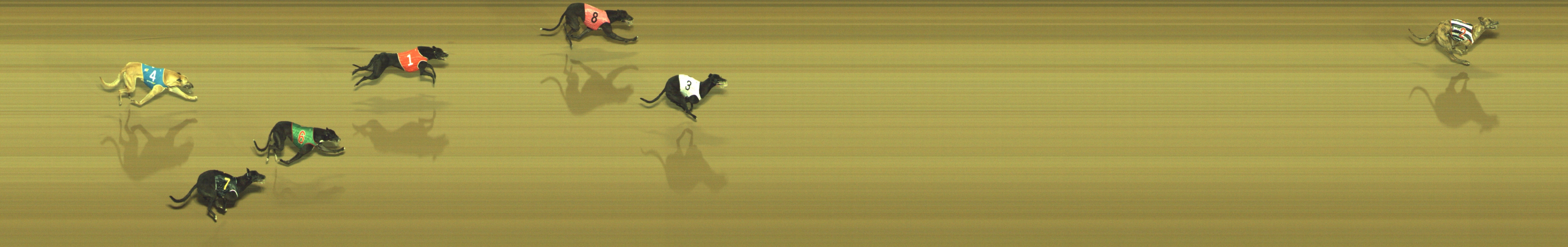 Photo finish for Geelong Race 1