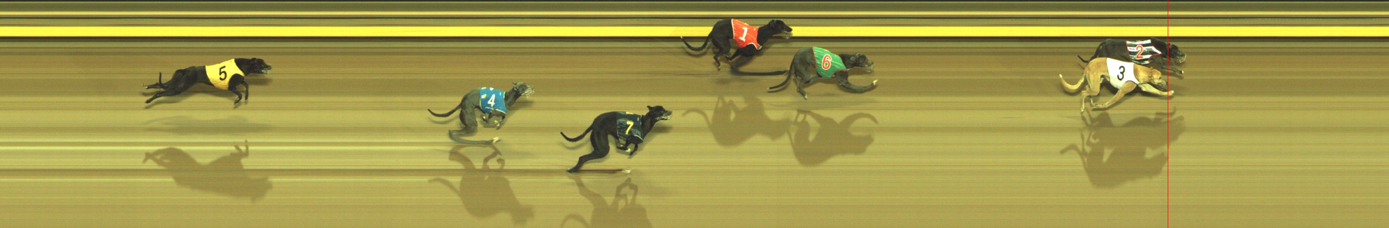 Photo finish for Geelong Race 2