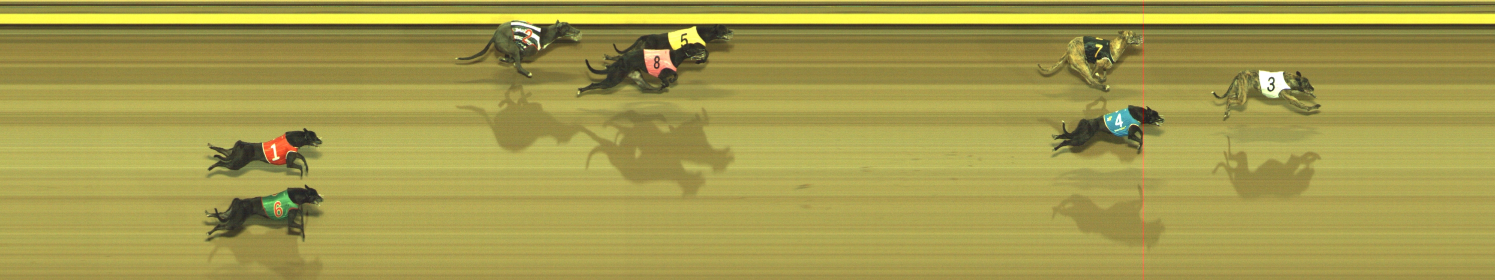 Photo finish for Geelong Race 3