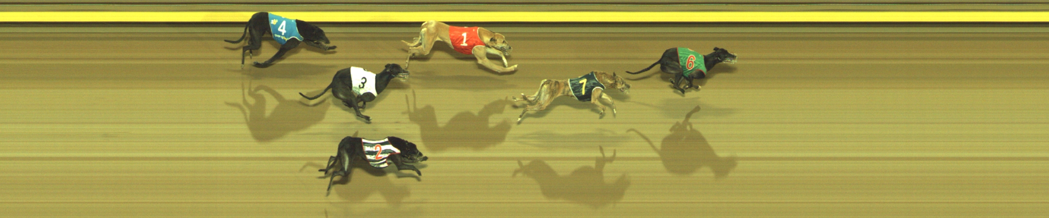 Photo finish for Geelong Race 4