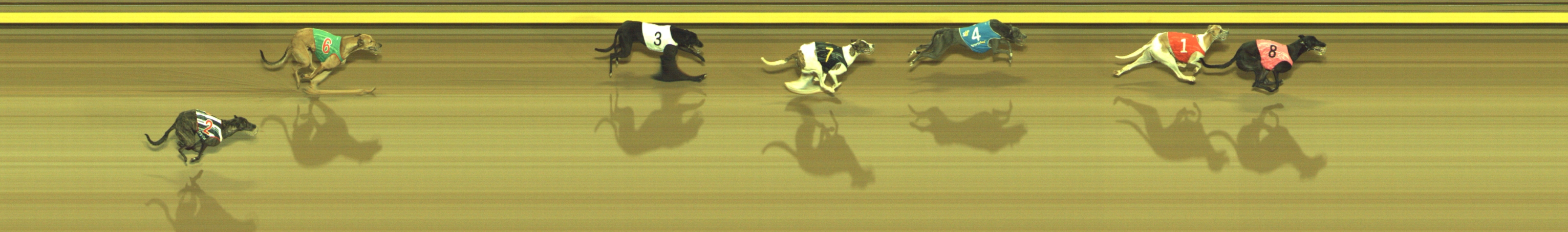 Photo finish for Geelong Race 5
