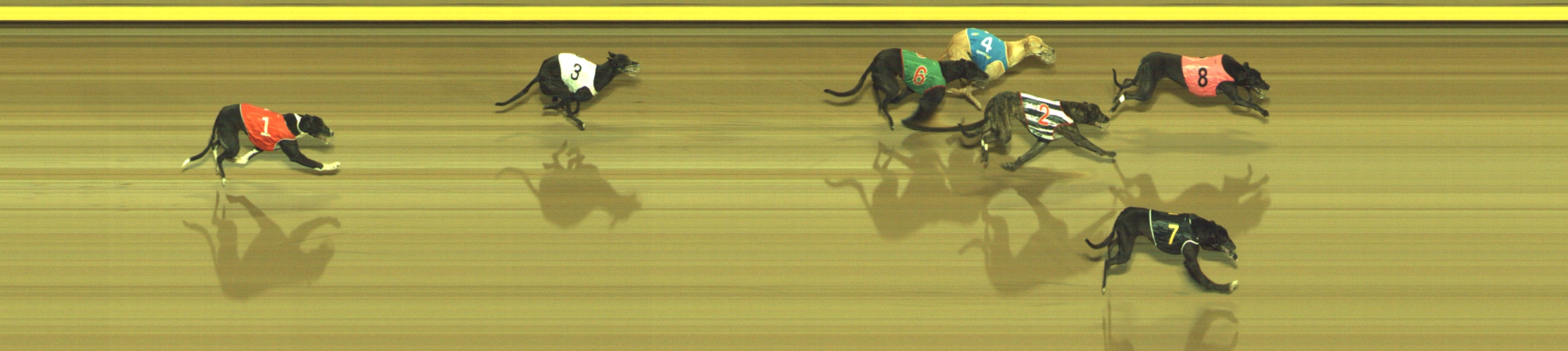 Photo finish for Geelong Race 6