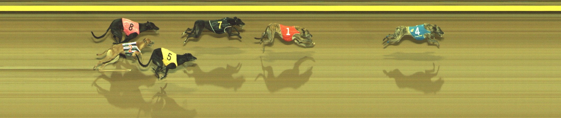 Photo finish for Geelong Race 7