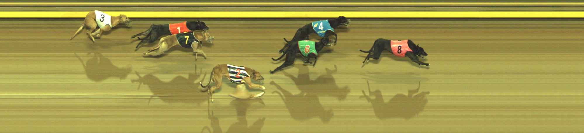 Photo finish for Geelong Race 8