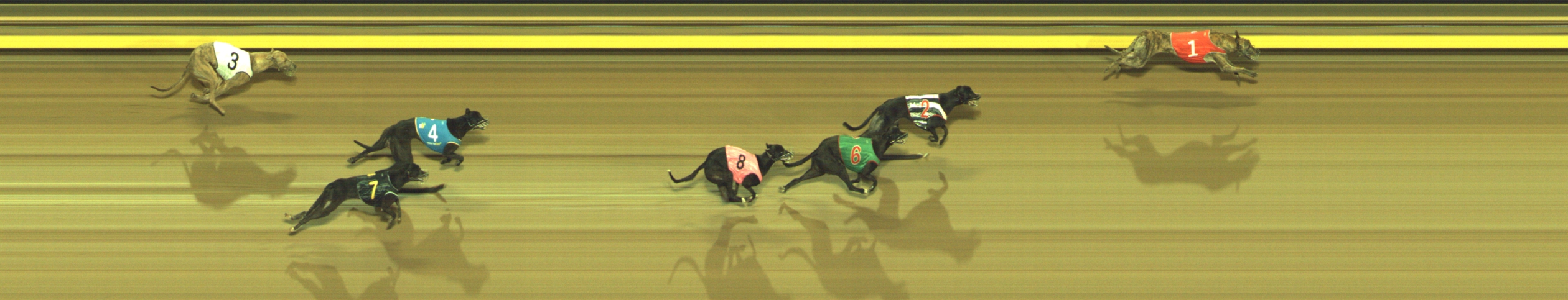 Photo finish for Geelong Race 9