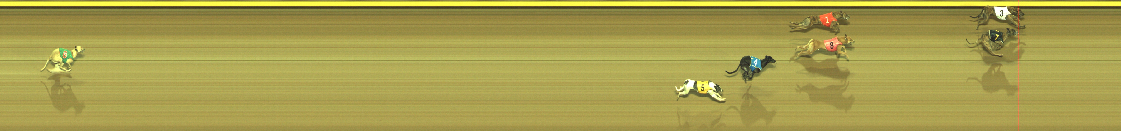 Photo finish for Geelong Race 10