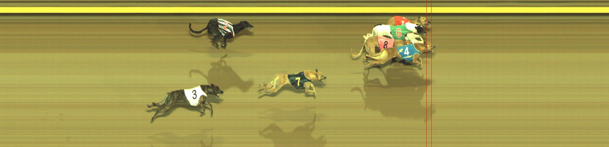 Photo finish for Geelong Race 11