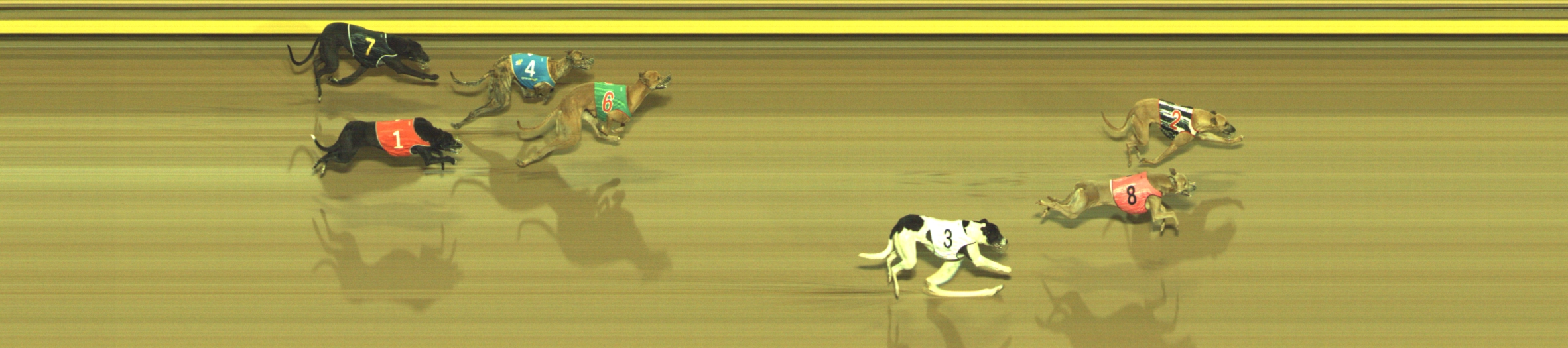 Photo finish for Geelong Race 12