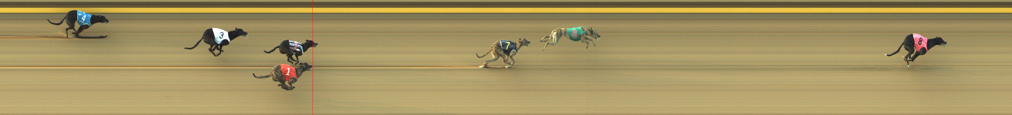 Photo finish for Geelong Race 1