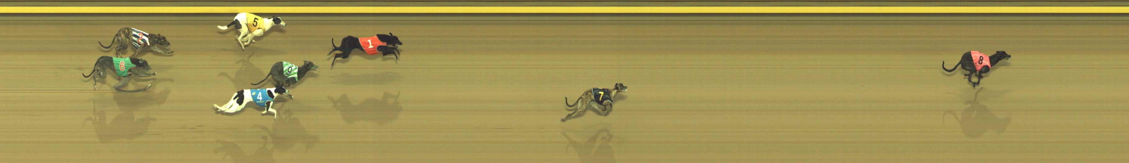 Photo finish for Geelong Race 2