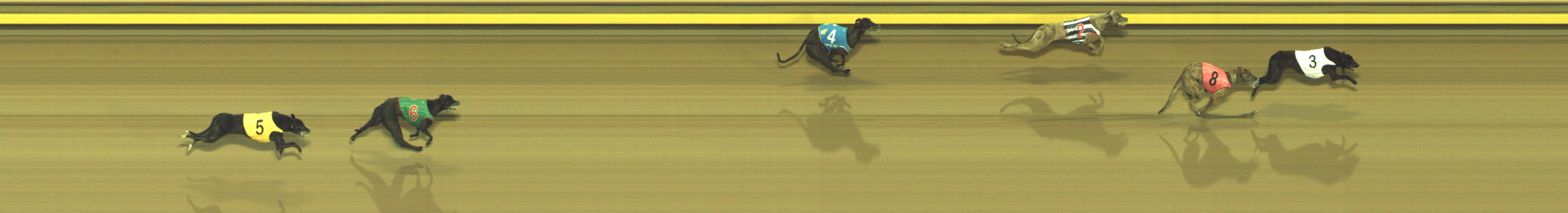 Photo finish for Geelong Race 3