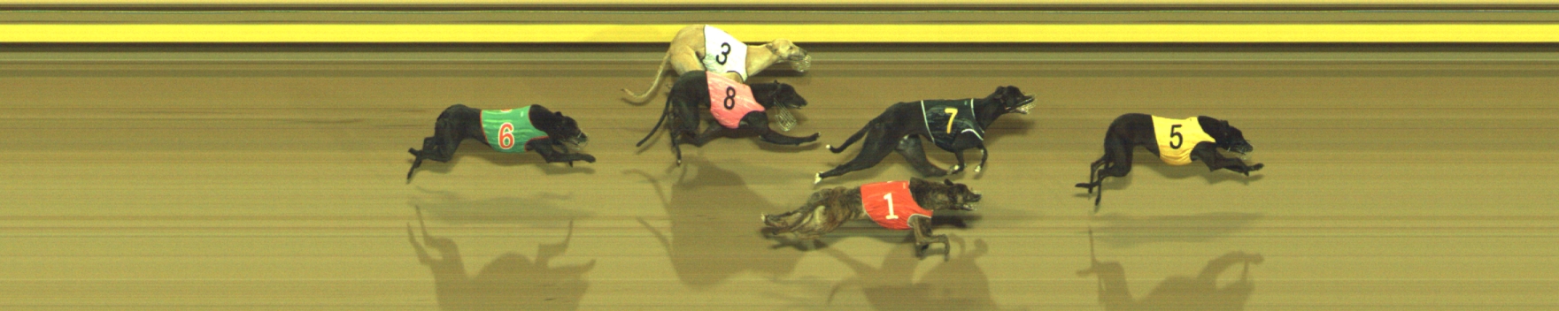 Photo finish for Geelong Race 4