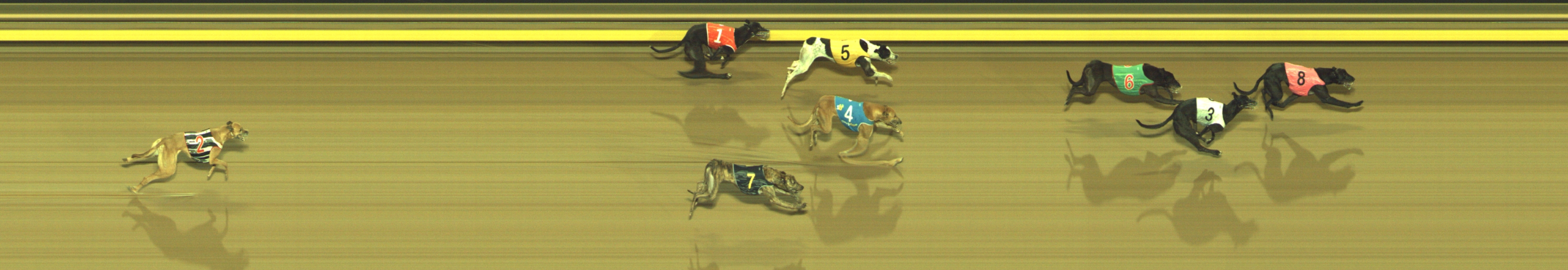 Photo finish for Geelong Race 5