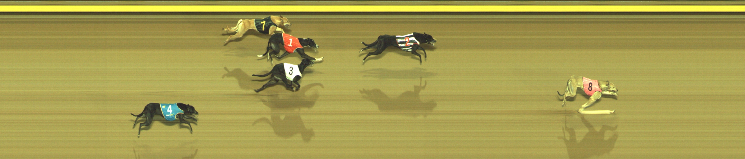 Photo finish for Geelong Race 6