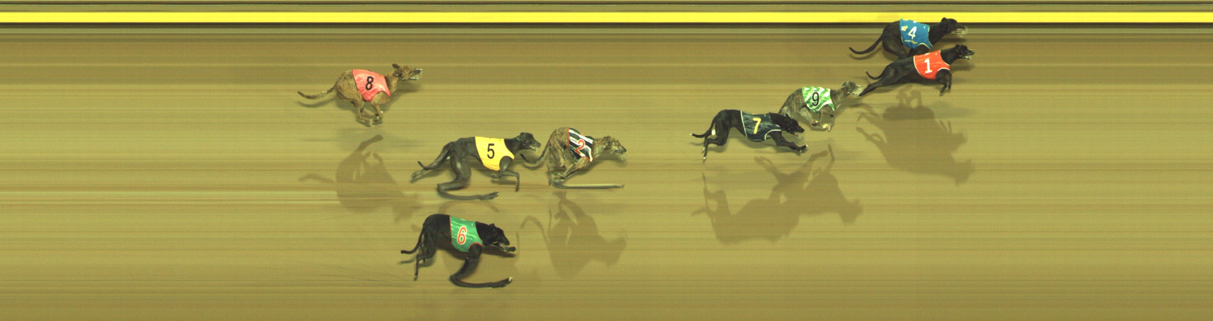 Photo finish for Geelong Race 7