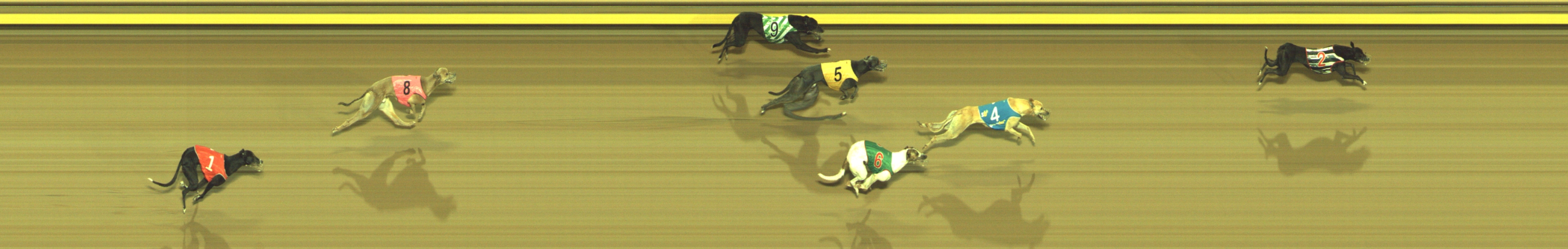Photo finish for Geelong Race 8