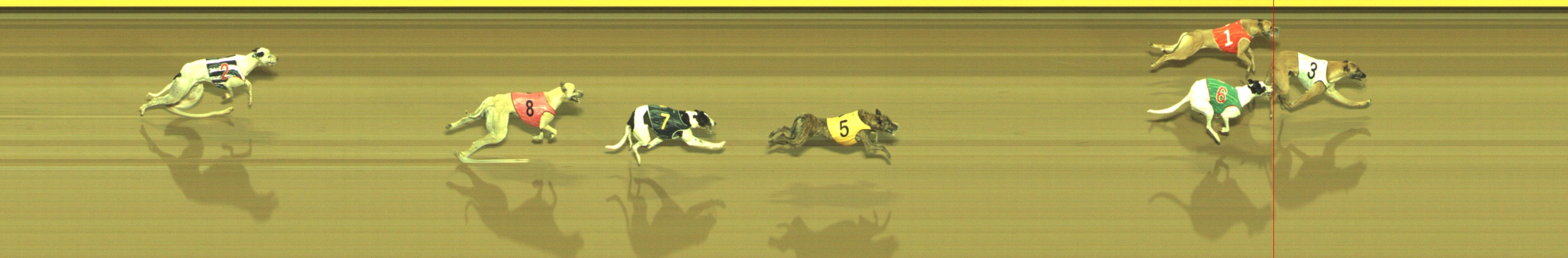 Photo finish for Geelong Race 9