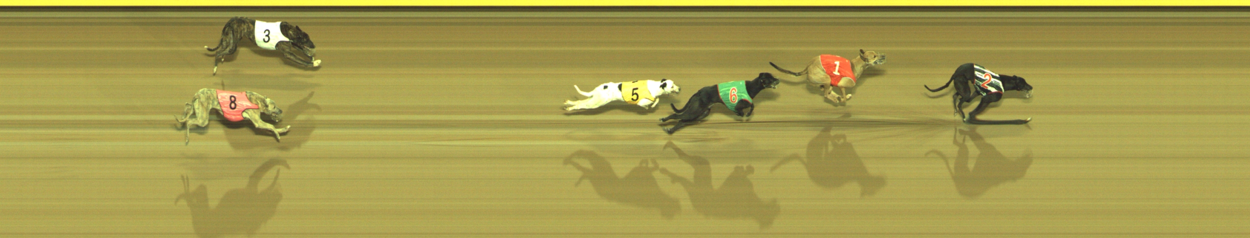Photo finish for Geelong Race 10