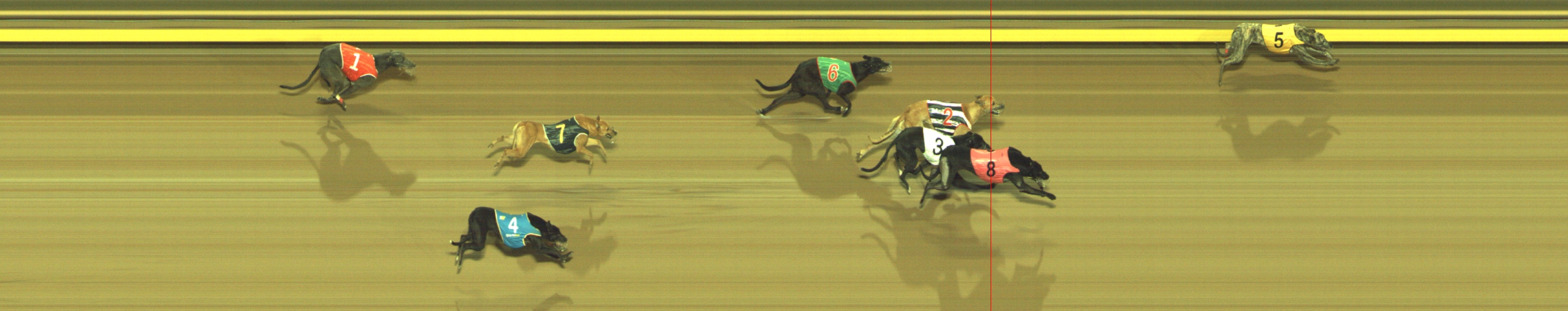 Photo finish for Geelong Race 11