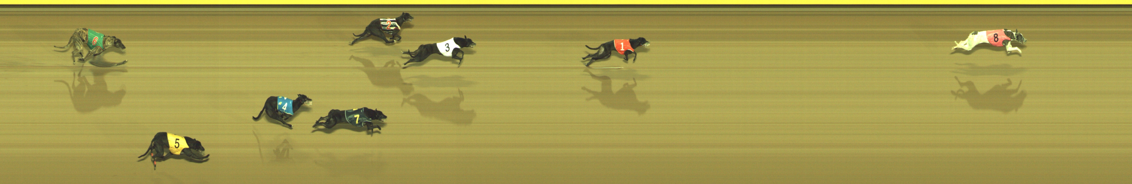 Photo finish for Geelong Race 12