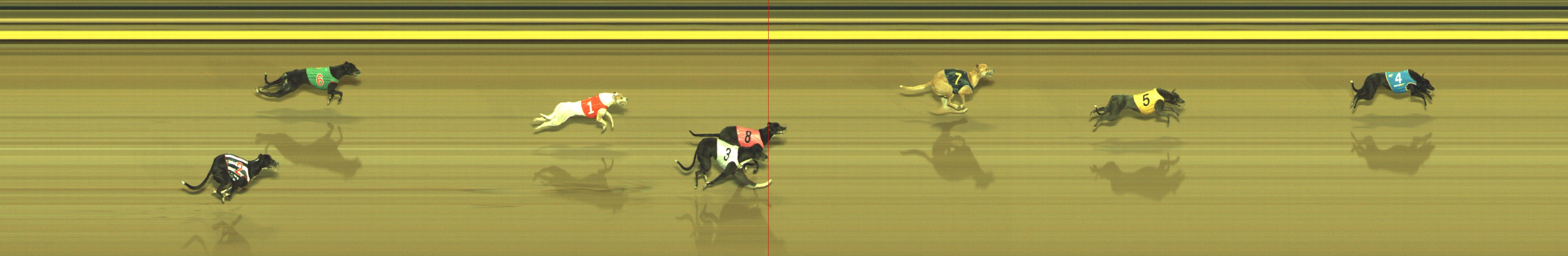 Photo finish for Geelong Race 1