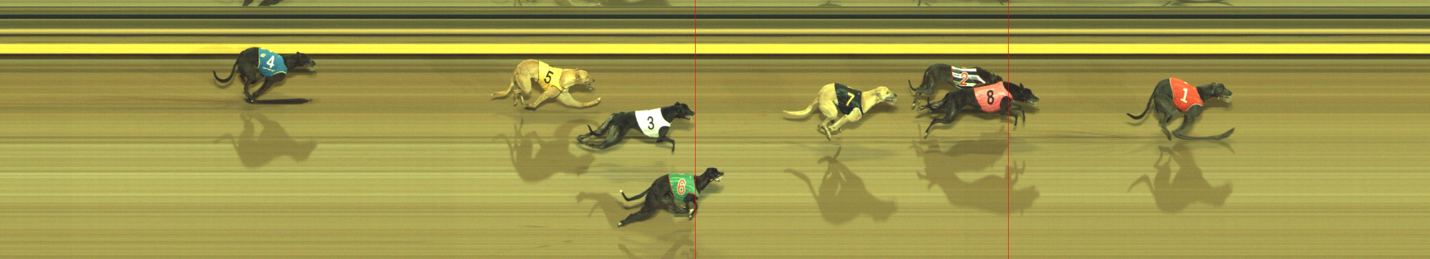 Photo finish for Geelong Race 2