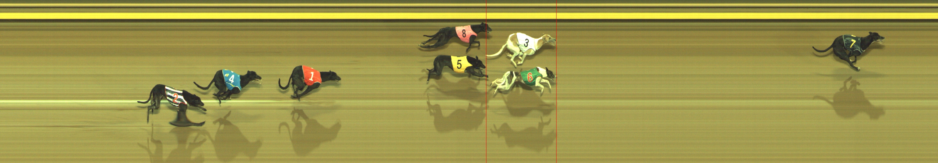 Photo finish for Geelong Race 3