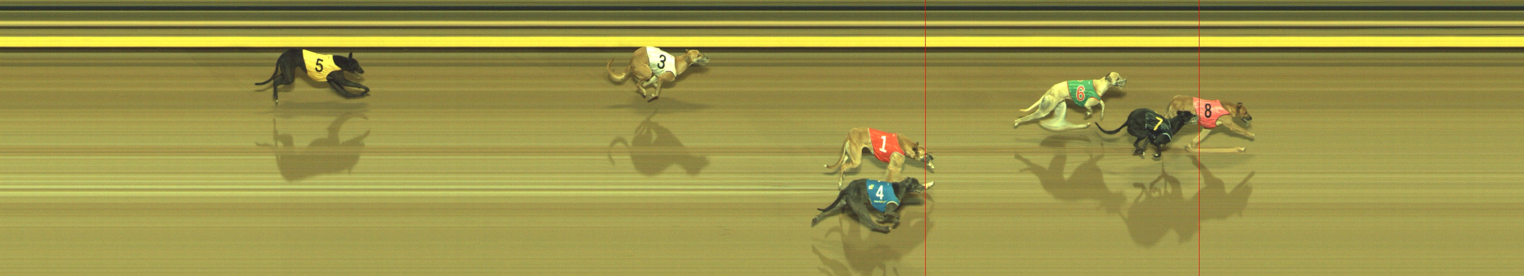 Photo finish for Geelong Race 4