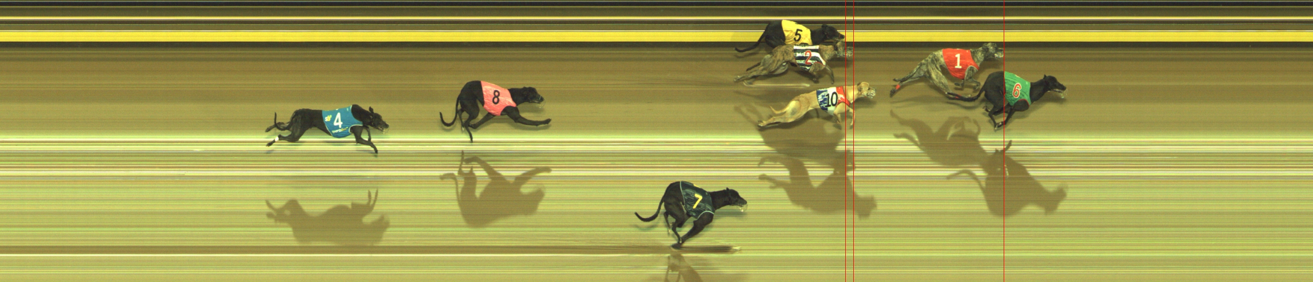 Photo finish for Geelong Race 5