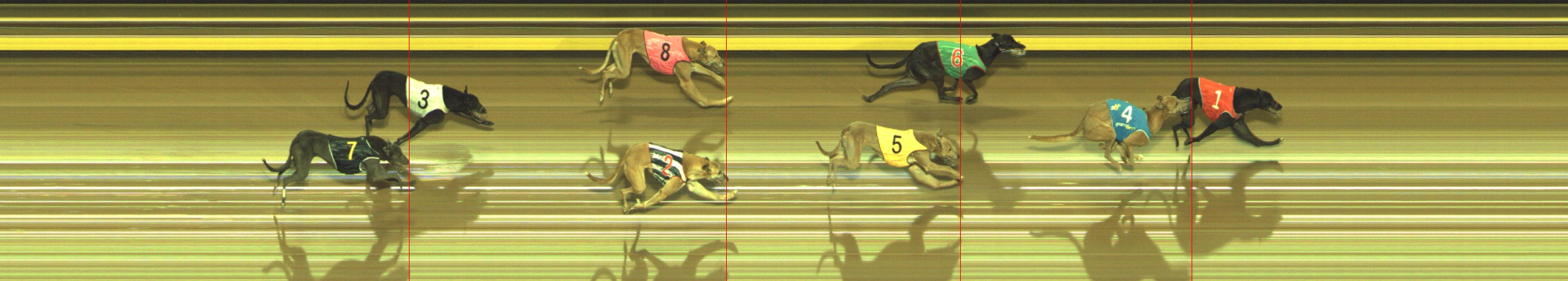 Photo finish for Geelong Race 6