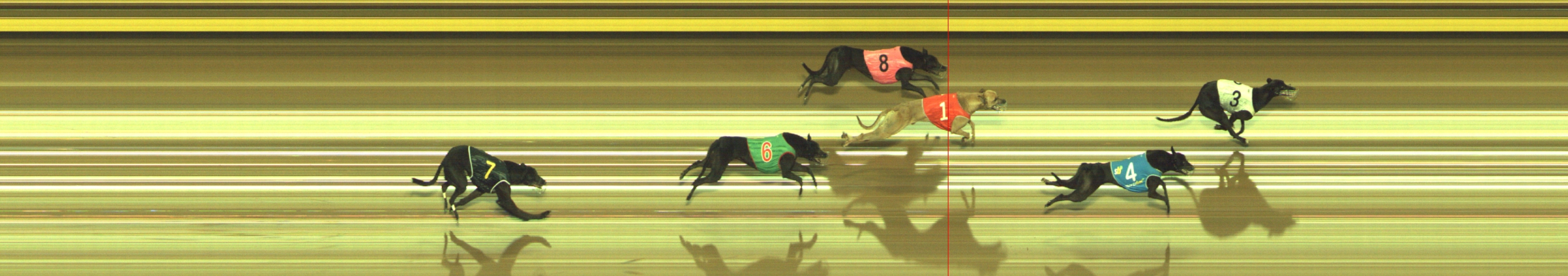 Photo finish for Geelong Race 8