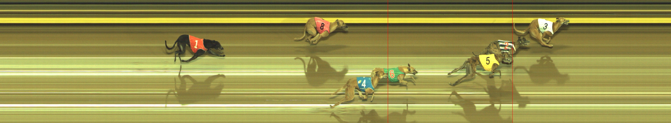Photo finish for Geelong Race 9
