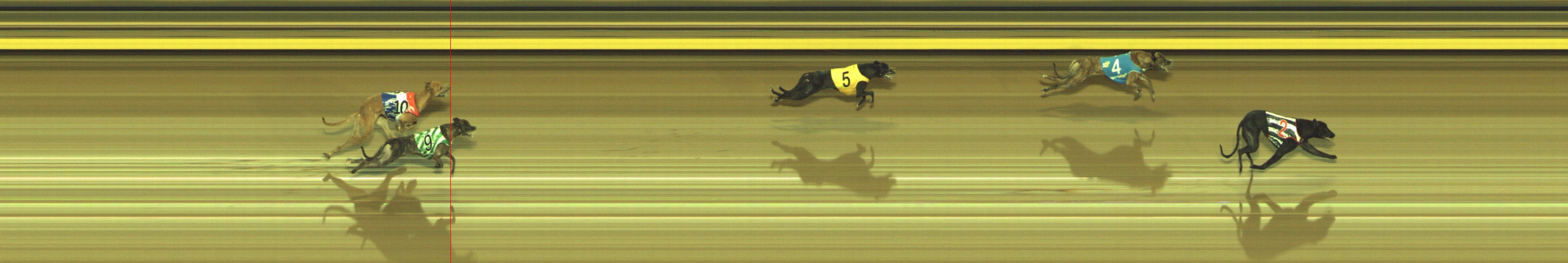 Photo finish for Geelong Race 10
